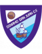 Escudo Dinamo de San Juan CF