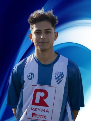 Img deportista HAMILTON